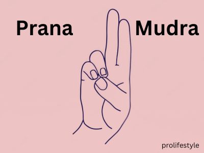 yoga mudras for , mudras for diabetes , practice this mudra , effective yoga mudras , mudra image instagram , yoga mudras to, prana mudra for suger patients, prolifestyle