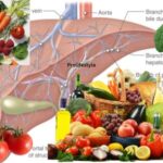 liver, liver diet, prolifestyle, health tips, health diet tips
