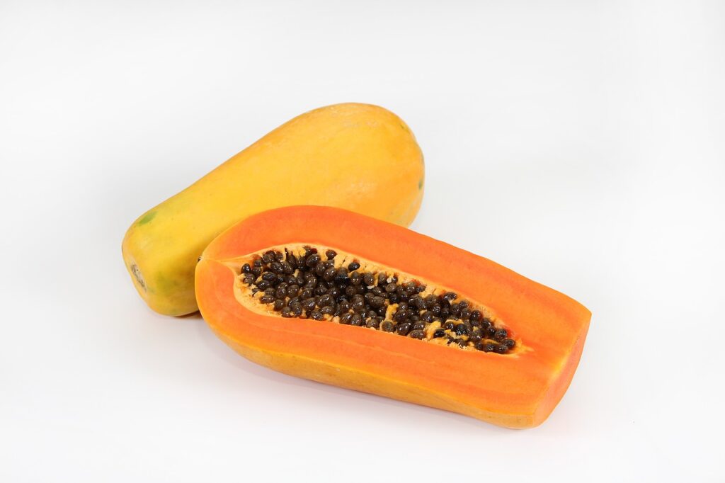 papaya, papaya diet for, typhoid health diet, prolifestyle