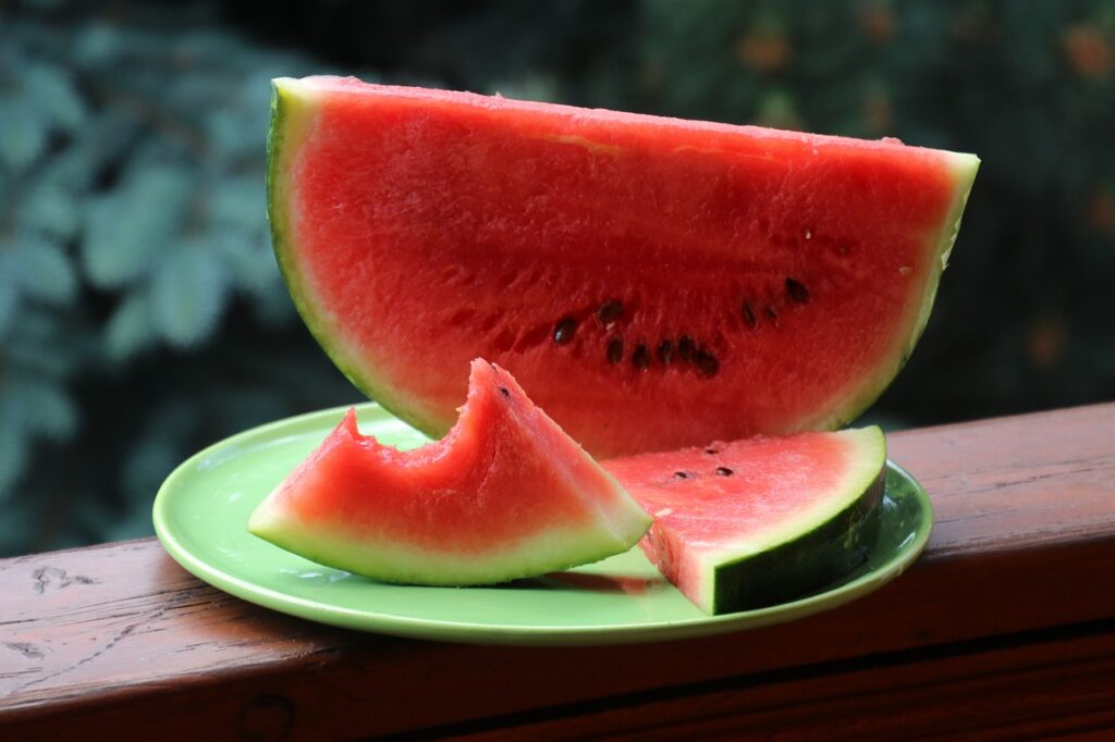 watermelon, diet plan for typhoid, typhoid diet, prolifestyle, watermelon typhoid diet prolifestyle