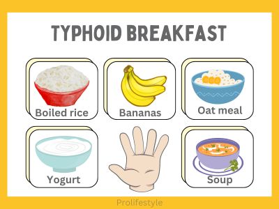 Typhoid breakfast, best typhoid breakfast for recover fast, prolifestyle breakfast for the typhoid patient, fever patent breakfast