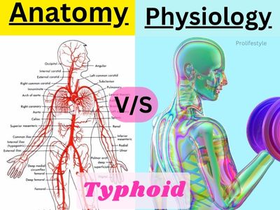 Anatomy and Physiology of typhoid fever & FAQ