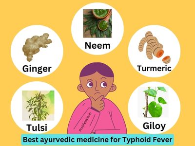 Best ayurvedic tulsi neem ginger turmeric giloy medicine for typhoid fever prolifestyle