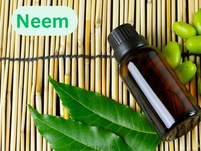 Neem benefits in typhoid fever, best ayurvedic medicine for typhoid fever, treatment of typhoid fever by using neem plant and its parts prolifestyle