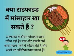 मांसाहार, चिकन सूप, नॉनवेज परहेज़, प्रोटीन स्रोत, पचने वाला भोजन, हल्का चिकन, शाकाहार, टाइफाइड डाइट, पाचन समस्या, रिकवरी फूड